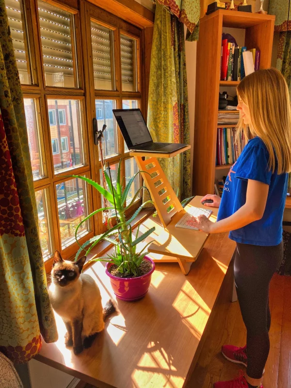 Sehpa üzerinde çalışan bir kadın - Bir kedi ile bir odada monitör ile Ayakta Çalışma Masası.