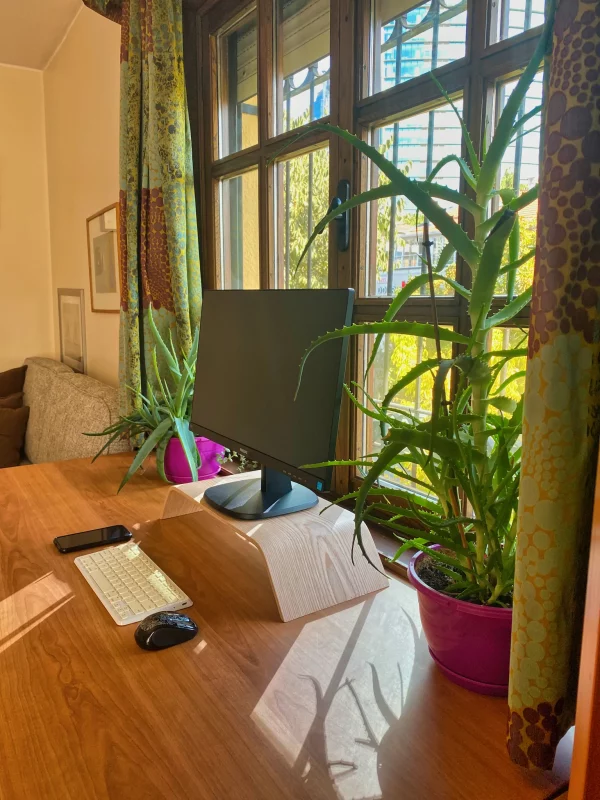 Ahşap - Ofis: Ahşaptan yapılmış ultra ince bir monitör sehpa, üzerinde bir bitki bulunan.